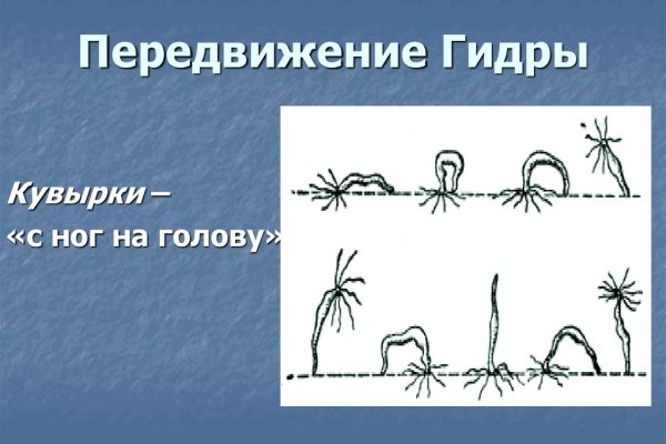 Кракен дарк