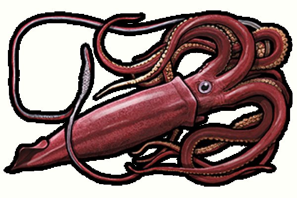 Kra27.cc